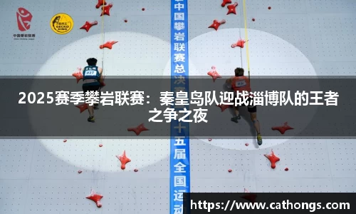 2025赛季攀岩联赛：秦皇岛队迎战淄博队的王者之争之夜